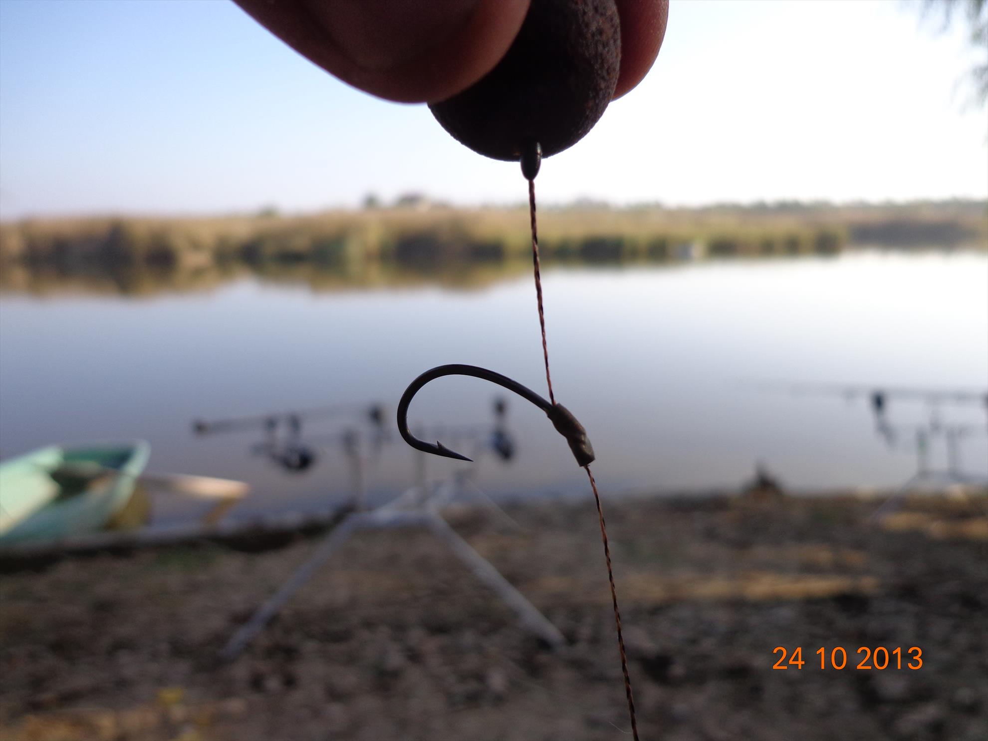 Carp mad - dsc01851.JPG